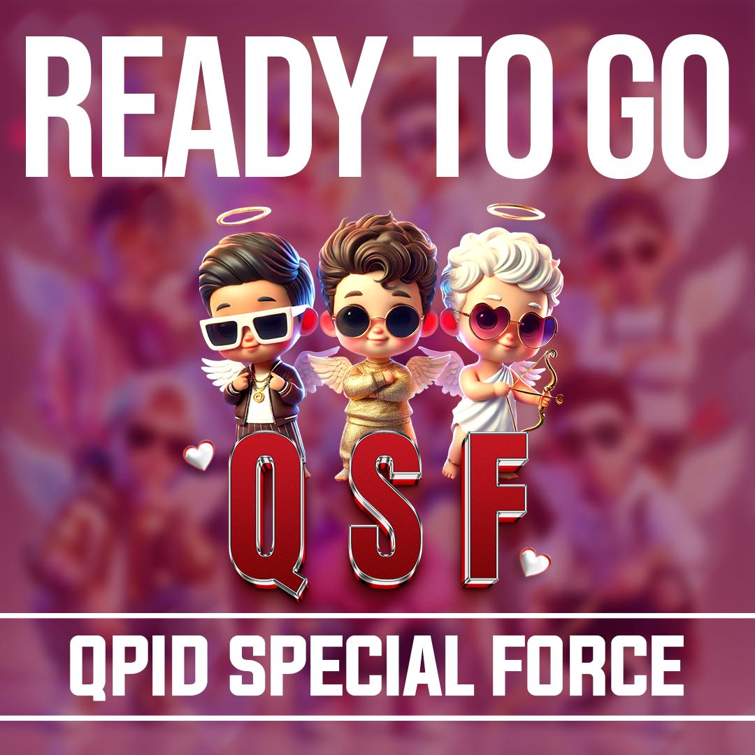 Story Qpid